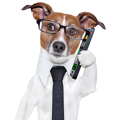 Image showing business dog