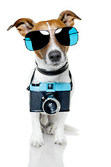 Image showing dog photographer 