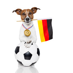 Image showing dog as soccer with medal and  flag