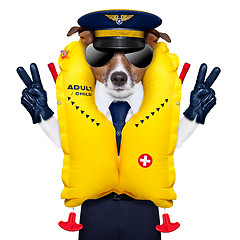 Image showing pilot dog