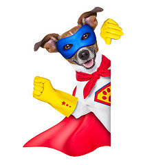 Image showing super hero dog