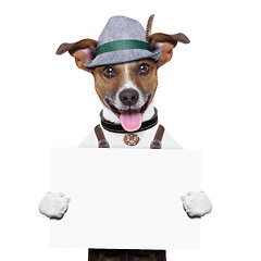 Image showing oktoberfest dog