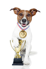 Image showing winner dog 