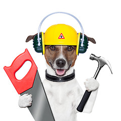 Image showing handyman dog 