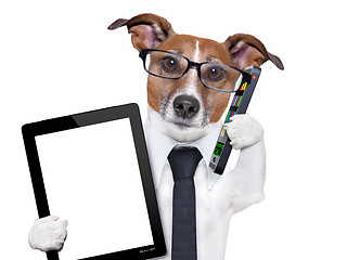 Image showing business dog