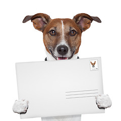 Image showing post envelope mail stamp dog