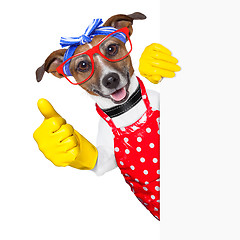 Image showing housewife dog 