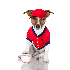 Image showing baseball dog