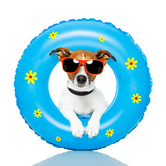 Image showing dog sunbathing 