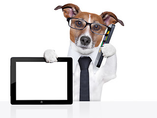 Image showing business dog