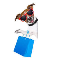 Image showing shopaholic shopping dog 