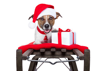 Image showing christmas dog on sleigh