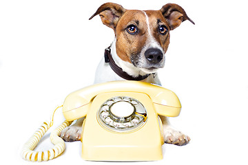 Image showing dog phone call