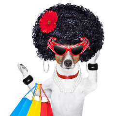 Image showing shopaholic diva dog