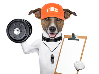 Image showing fitness dog