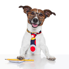 Image showing business dog typewriter