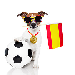 Image showing dog as soccer with spanish flag