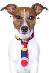 Image showing office dog 