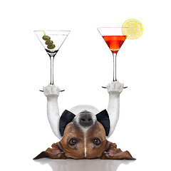 Image showing cocktail dog 