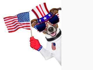 Image showing usa american dog 