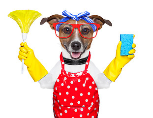 Image showing housewife dog 