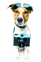 Image showing dog photo camera