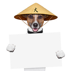 Image showing asian dog 