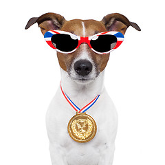 Image showing olympic dog 