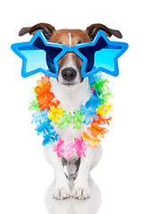 Image showing gay dog