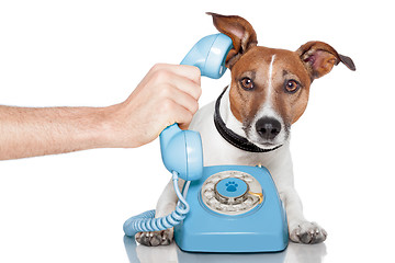 Image showing dog on the phone with male hand