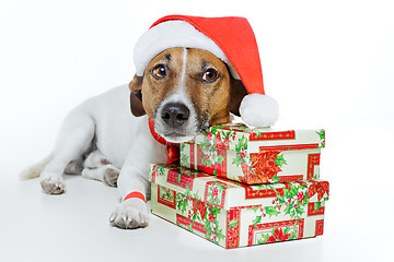 Image showing christmas dog santa