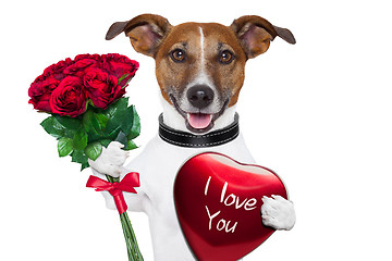 Image showing valentine dog  