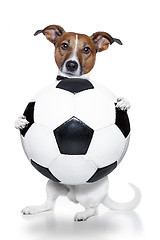 Image showing dog with a white soccer ball