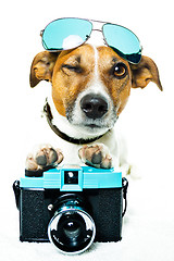 Image showing dog photo camera