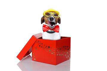 Image showing christmas box dog