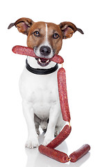 Image showing dog with sausages