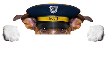 Image showing mail dog