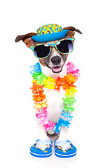 Image showing dog on vacation