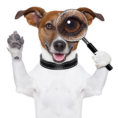 Image showing dog with magnifying glass 