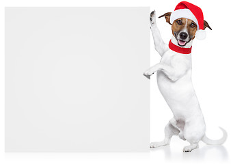 Image showing christmas dog placeholder