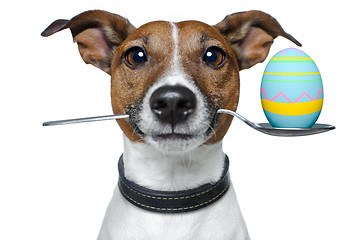 Image showing dog with spoon and easter egg