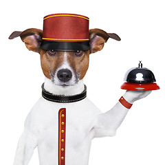 Image showing bellboy dog 