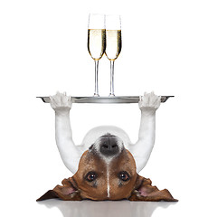 Image showing happy new year dog