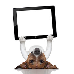 Image showing dog computer