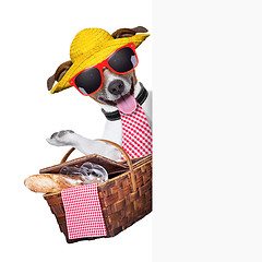 Image showing picnic dog 