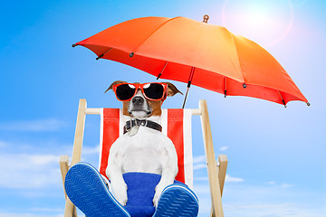 Image showing summer dog vacation holiday