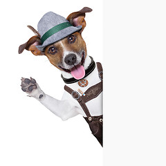 Image showing oktoberfest dog