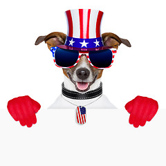 Image showing usa american dog 