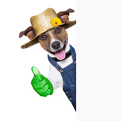 Image showing gardener dog