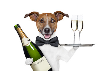 Image showing dog toasting 